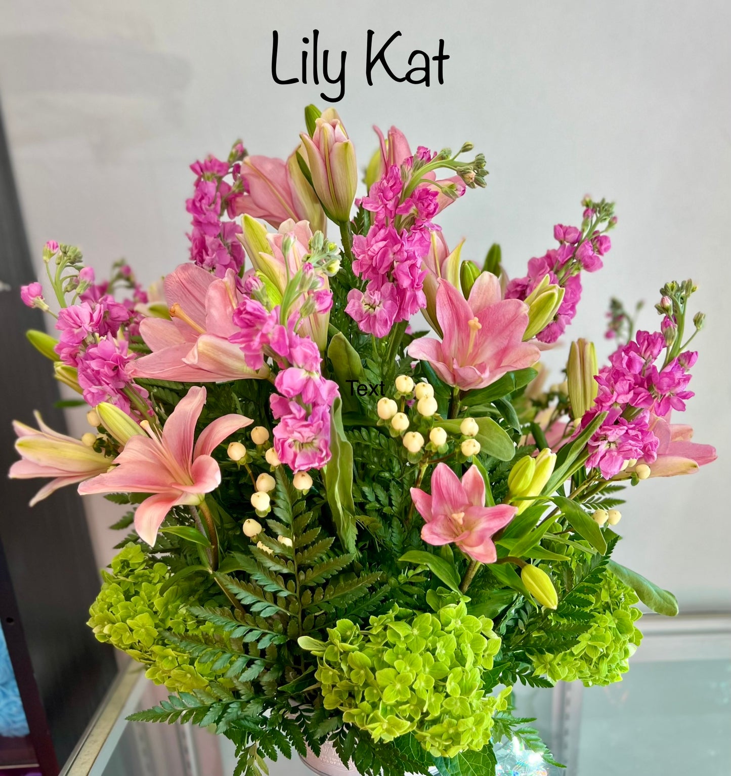 Lily Kat